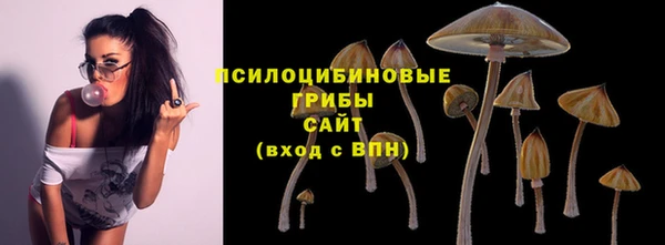 соль курить ск Армянск