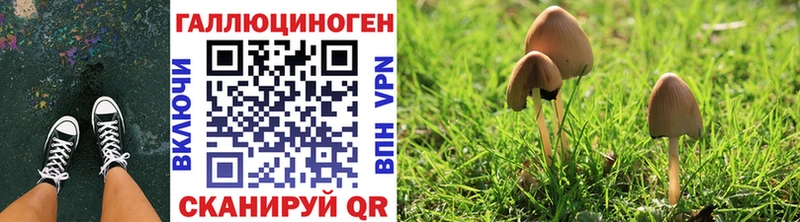 Галлюциногенные грибы Psilocybe  даркнет сайт  Сортавала 